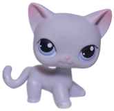 #0246 Shorthair Cat